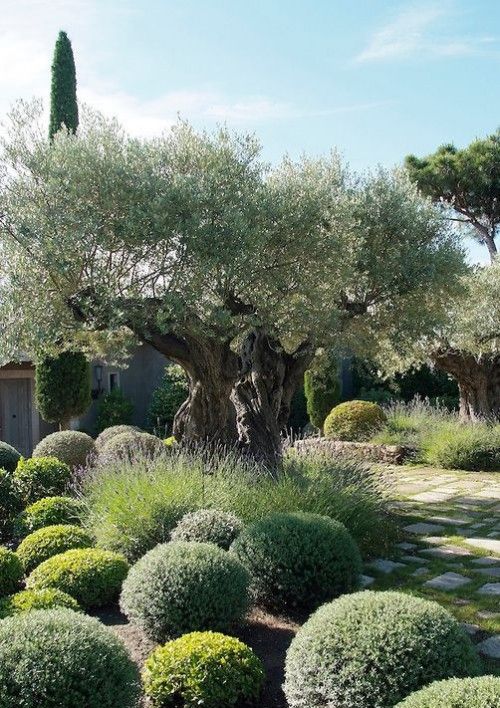 10 idee per lo stile del tuo giardino