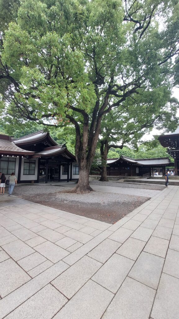 architettura contemporanea Tokyo